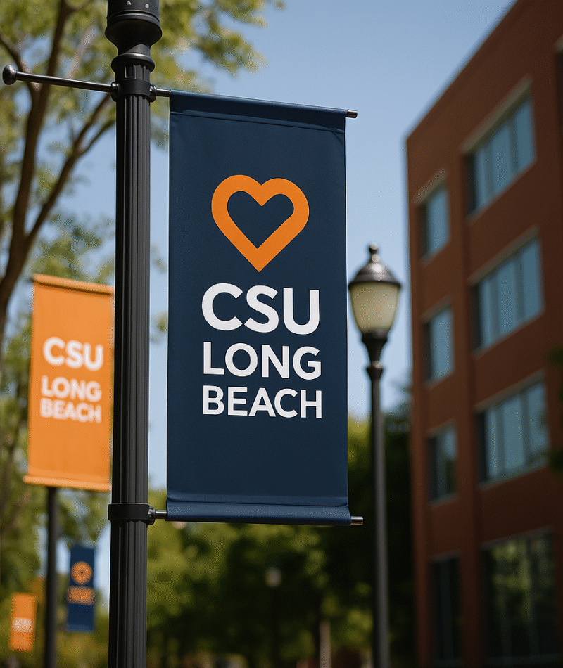 CSU Long Beach – Logo Design & Outreach Collateral